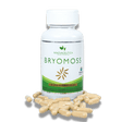 Bryomoss