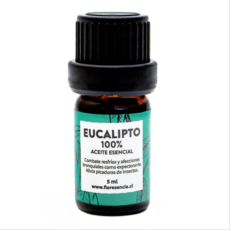 Aceite Esencial Puro de Eucalipto (10ml) – Madre Tierra Shop