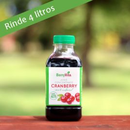 Jugo cranberry