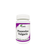 Phaseolus Vulgaris