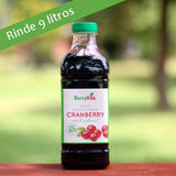 Jugo cranberry
